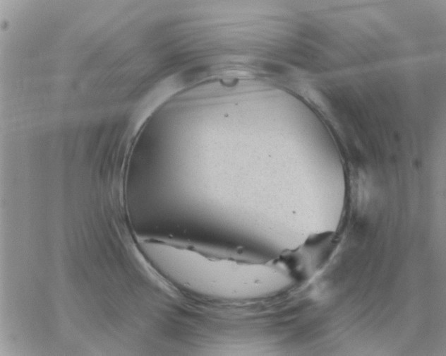 X0000065261194200602242107