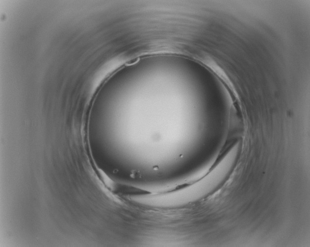 X0000065261197200602242107