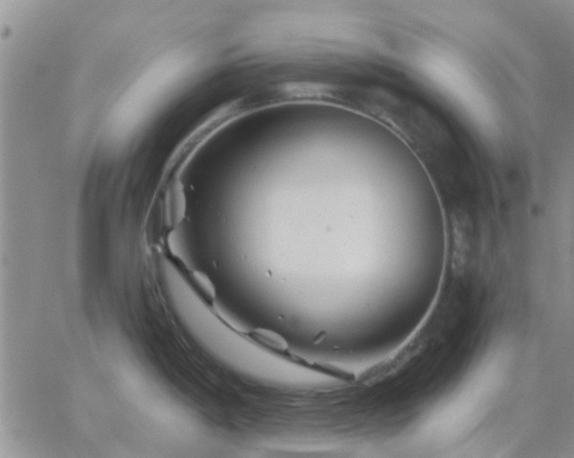 X0000065261198200602242107