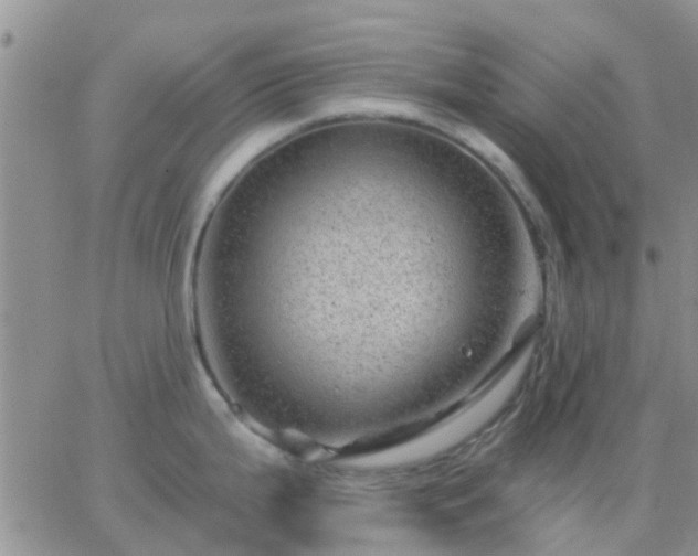 X0000065261199200602242107