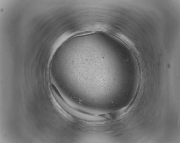 X0000065261200200602242107