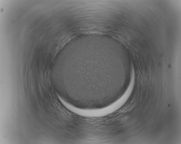 X0000065261202200602242106