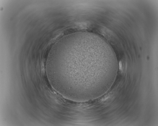 X0000065261203200602242106