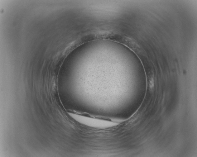 X0000065261204200602242106