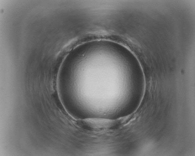 X0000065261205200602242106