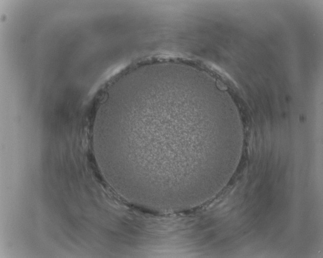 X0000065261207200602242106