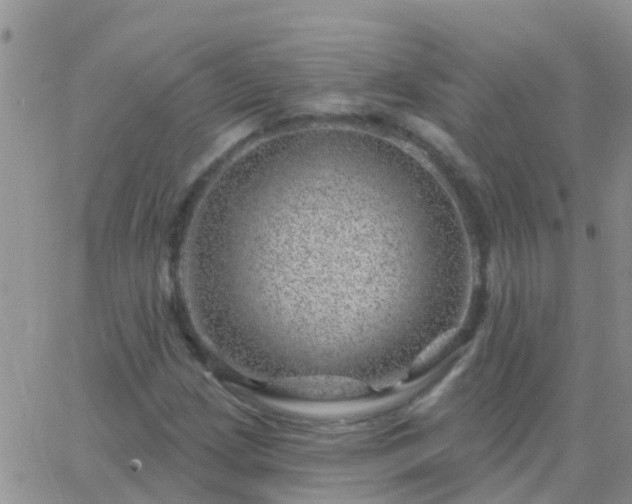 X0000065261209200602242106