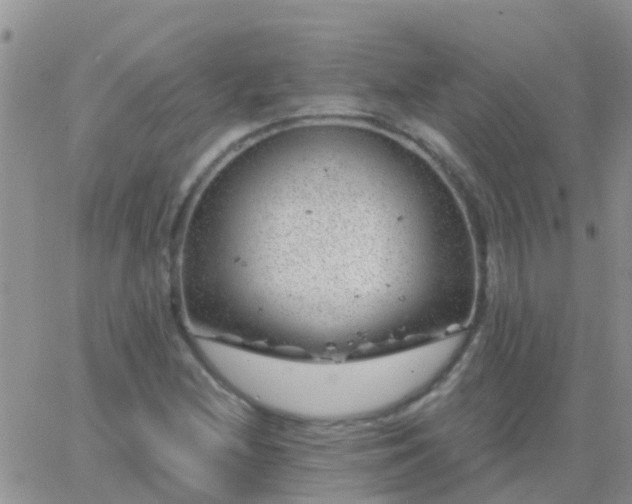 X0000065261212200602242106