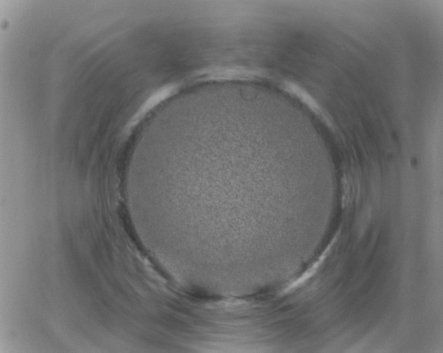 X0000065261213200602242106