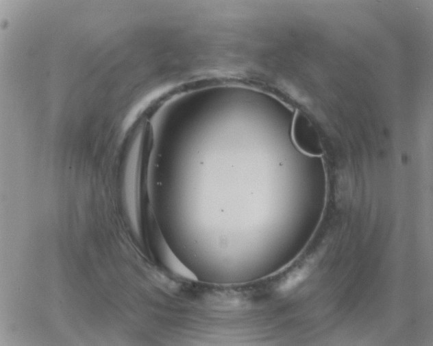 X0000065261214200602242106