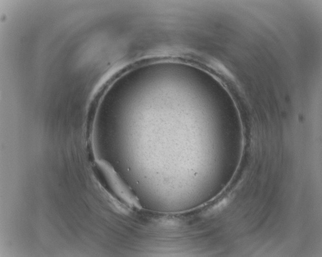 X0000065261216200602242106