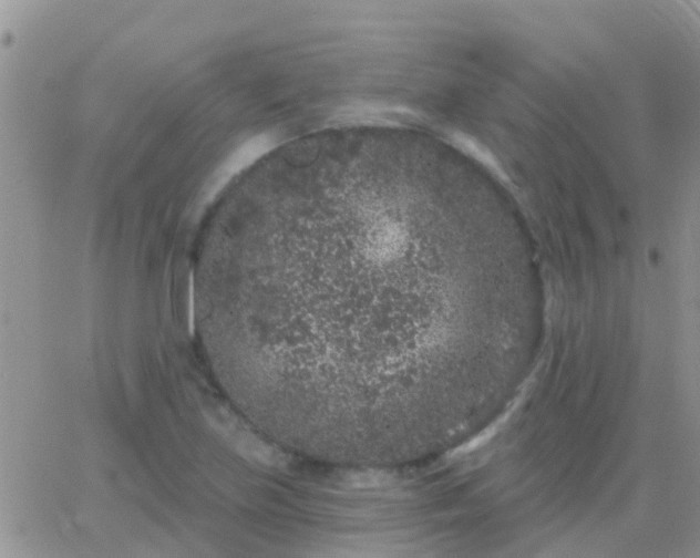 X0000065261219200602242106