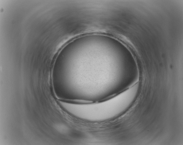 X0000065261220200602242106