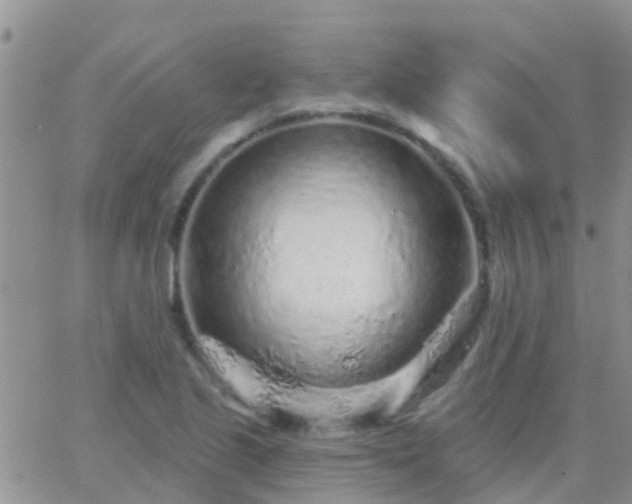 X0000065261221200602242106