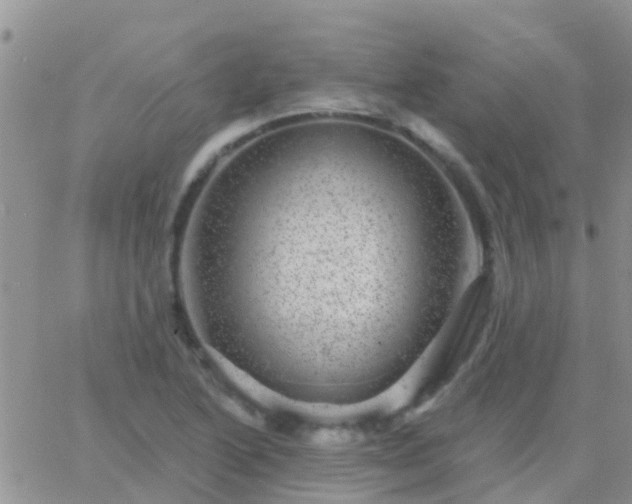 X0000065261222200602242106