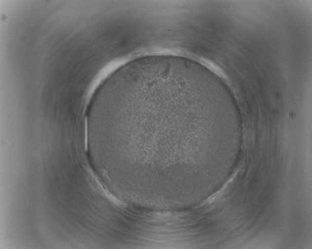 X0000065261223200602242106