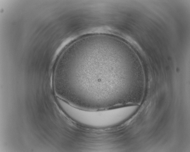 X0000065261224200602242106