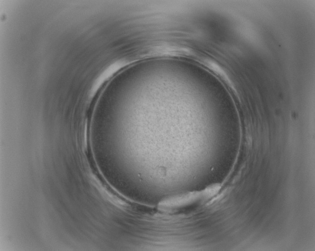 X0000065261227200602242106