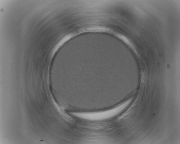 X0000065261229200602242106