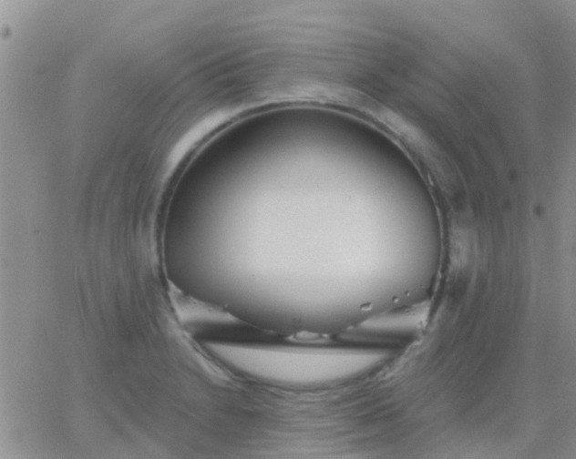 X0000065261230200602242106