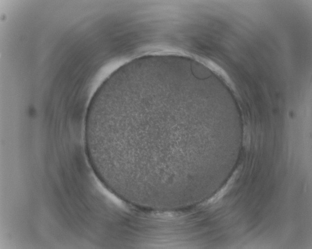 X0000065261231200602242106