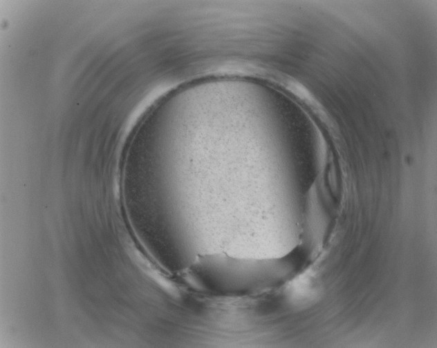 X0000065261232200602242106