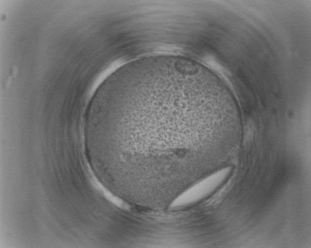 X0000065261235200602242106