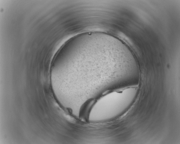 X0000065261236200602242106