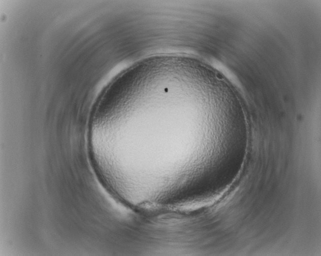 X0000065261237200602242107