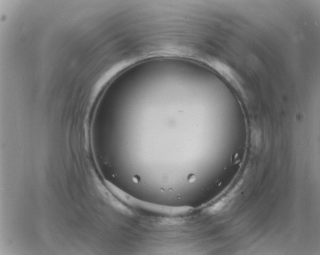 X0000065261238200602242107