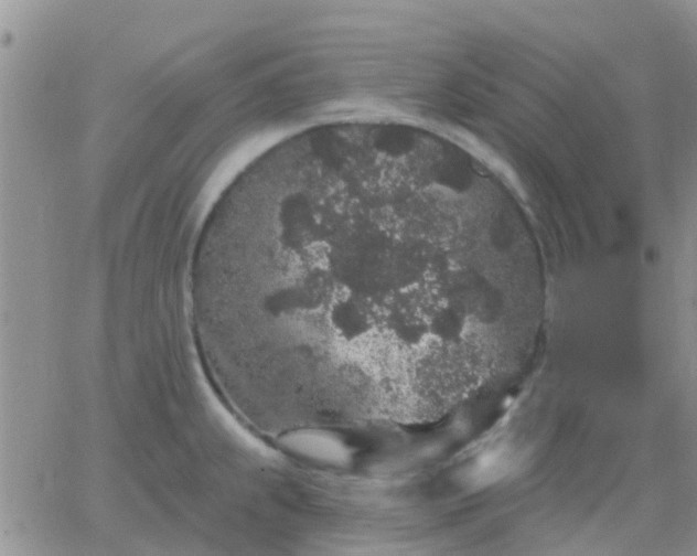 X0000065261239200602242107