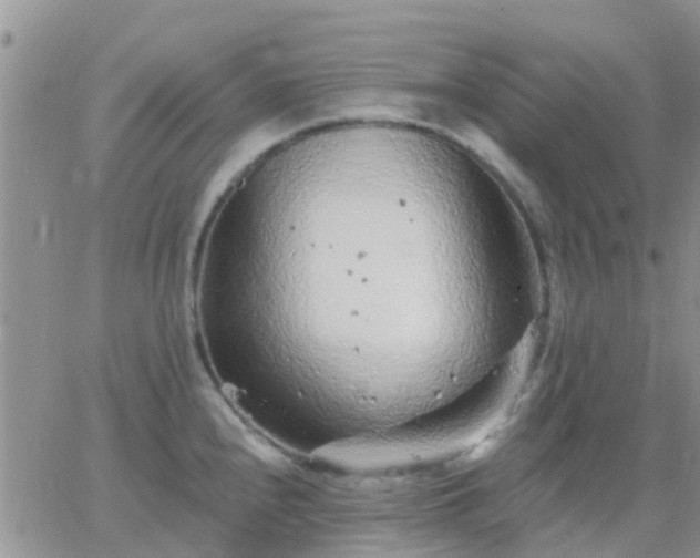 X0000065261240200602242107