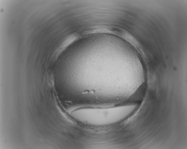 X0000065261241200602242107