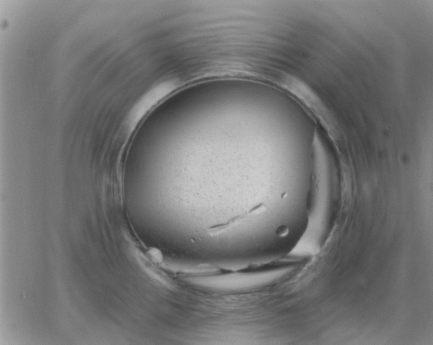 X0000065261242200602242107