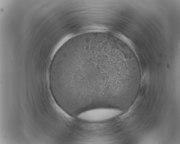 X0000065261243200602242107