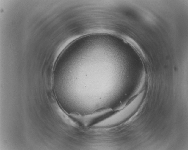 X0000065261244200602242107