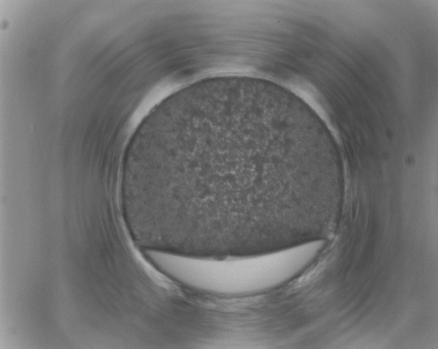 X0000065261245200602242107