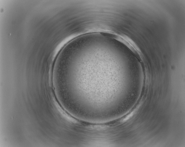 X0000065261246200602242107