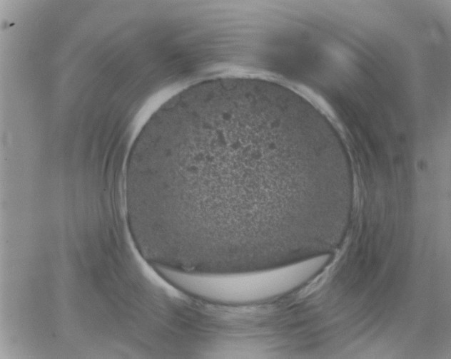 X0000065261247200602242107