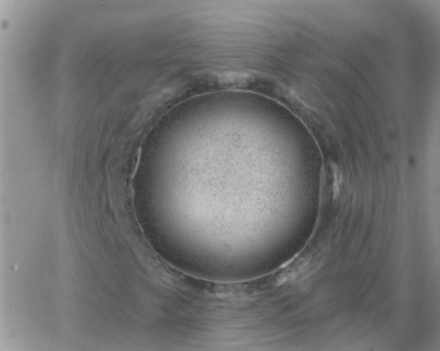 X0000065261249200602242106