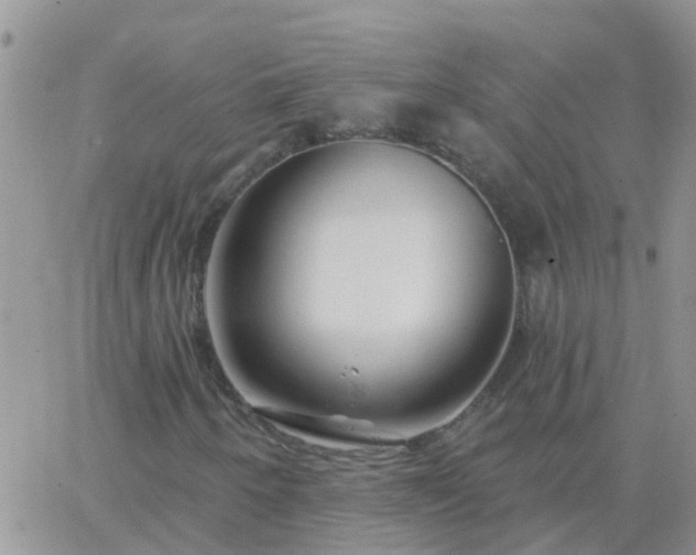 X0000065261250200602242106