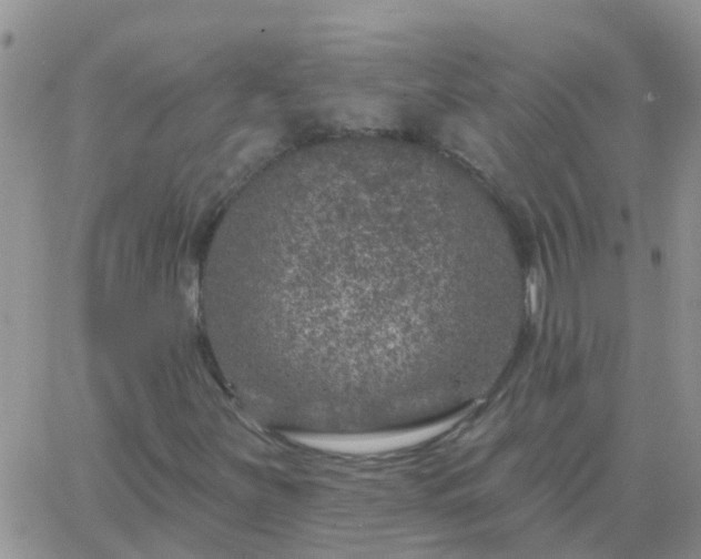 X0000065261251200602242106