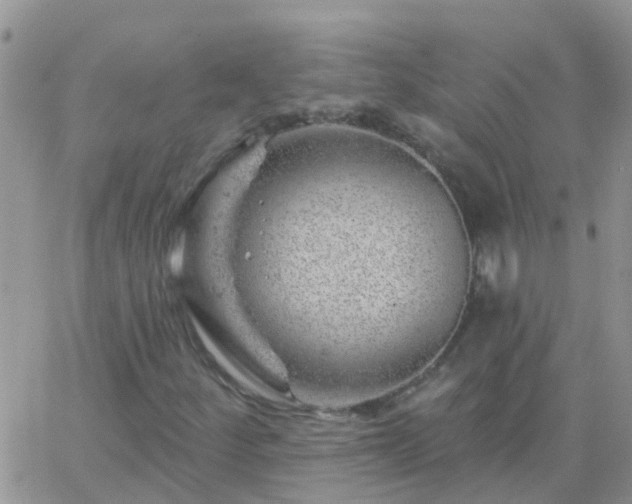 X0000065261252200602242106