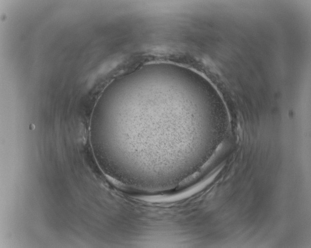 X0000065261253200602242106