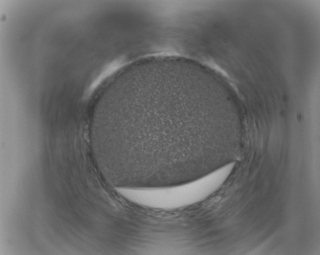 X0000065261255200602242106