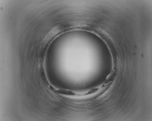 X0000065261257200602242106