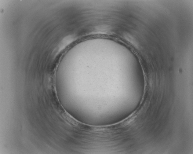 X0000065261258200602242106