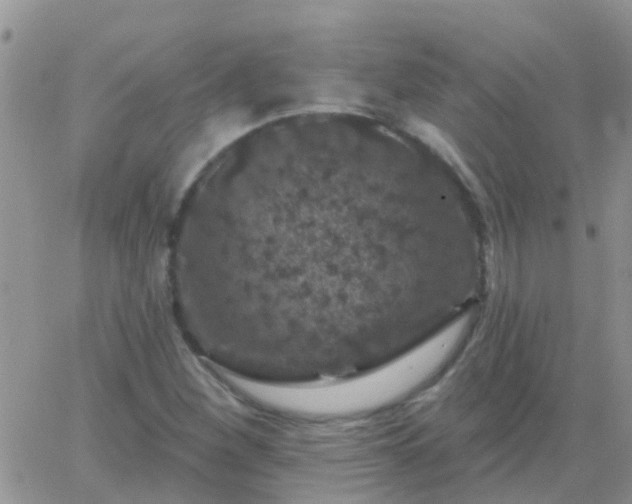 X0000065261260200602242106