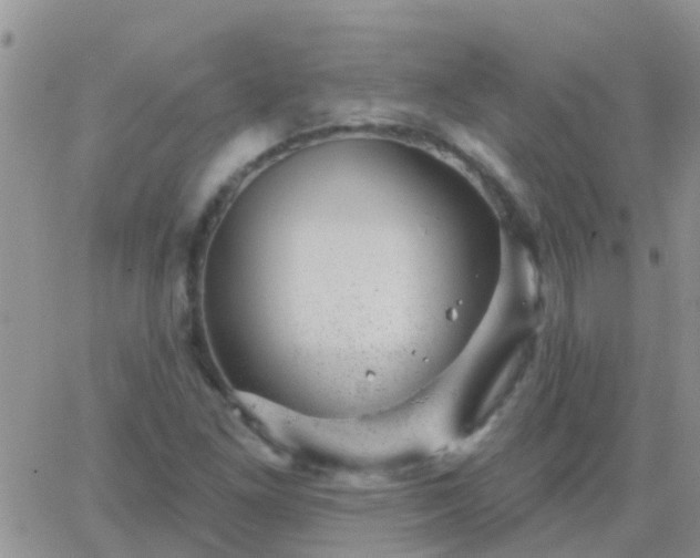 X0000065261261200602242106