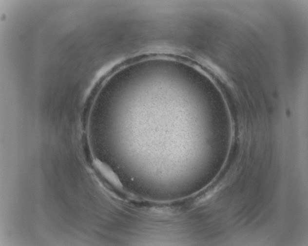 X0000065261264200602242106